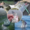 Curved Mouth Fishing Pliers Stainless Steel Road Pliers Multifunctional Strong Horse Fishing Line Scissors Hook Pliers