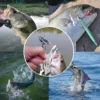 Curved Mouth Fishing Pliers Stainless Steel Road Pliers Multifunctional Strong Horse Fishing Line Scissors Hook Pliers